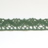 Nėrinių juostelė "Moss", 1m