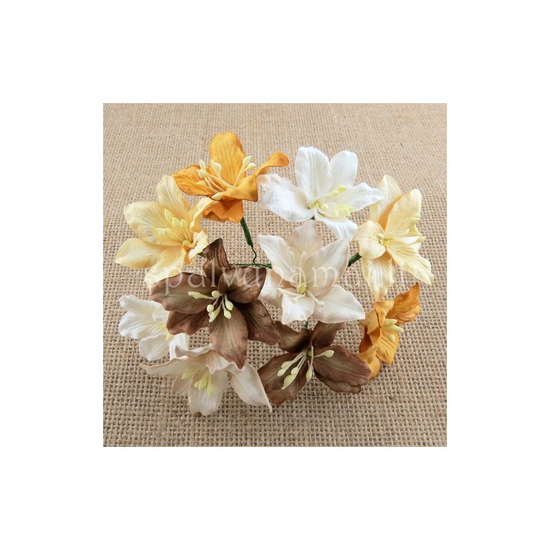 Popierinės gėlės "Mulberry Lily Mixed  Earth Tone", 5vnt