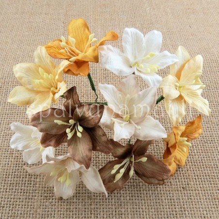 Popierinės gėlės "Mulberry Lily Mixed  Earth Tone", 5vnt