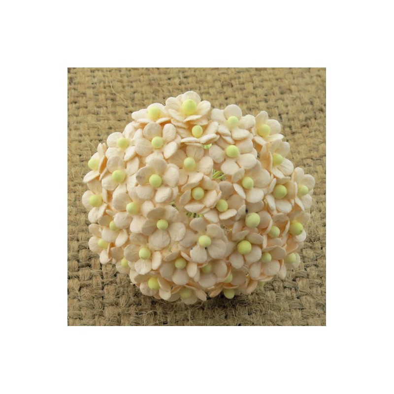 Popierinės gėlės "Miniature blossom Pale Peach", 20vnt.