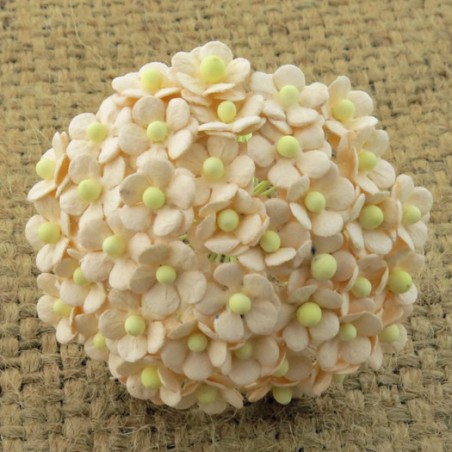 Popierinės gėlės "Miniature blossom Pale Peach", 20vnt.