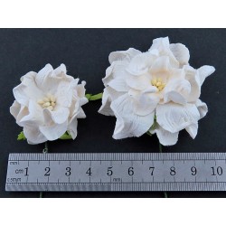 Popierinės gėlės "Gardenia Lilac", 5vnt.