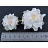 Popierinės gėlės "Gardenia Lilac", 5vnt.