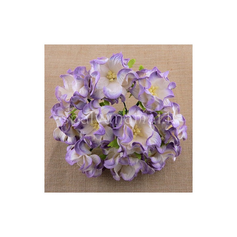 Popierinės gėlės "Gardenia Lilac", 5vnt.