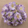 Popierinės gėlės "Gardenia Lilac", 5vnt.