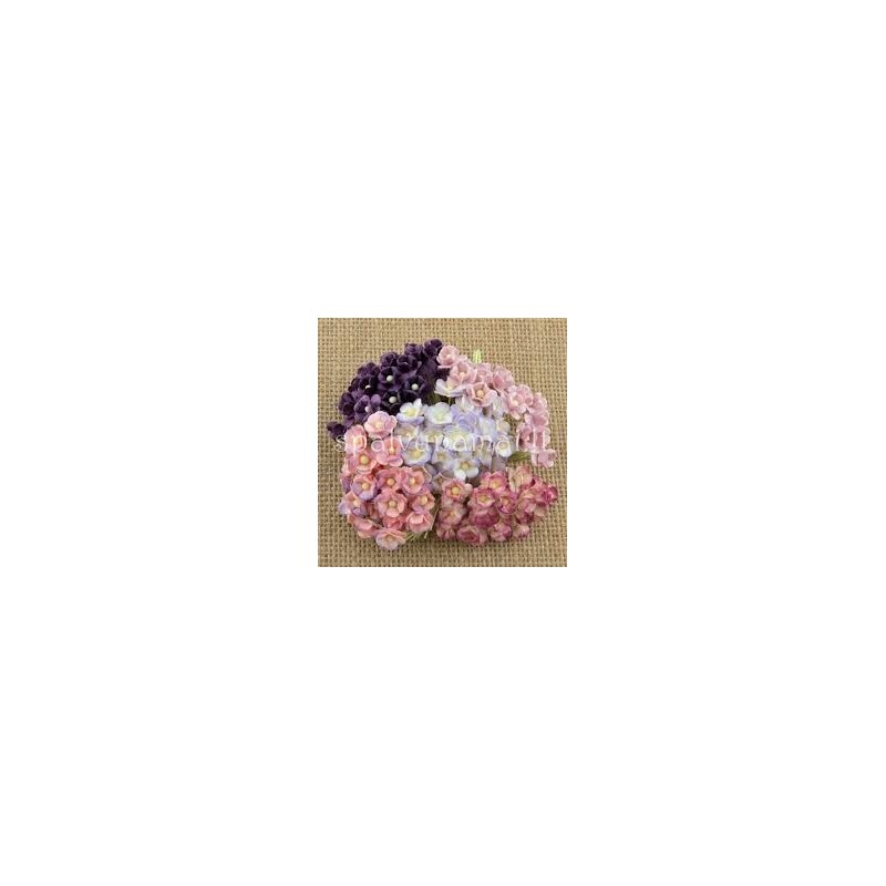 Popierinės gėlės "Miniature blossom mixed Lilac", 20vnt.