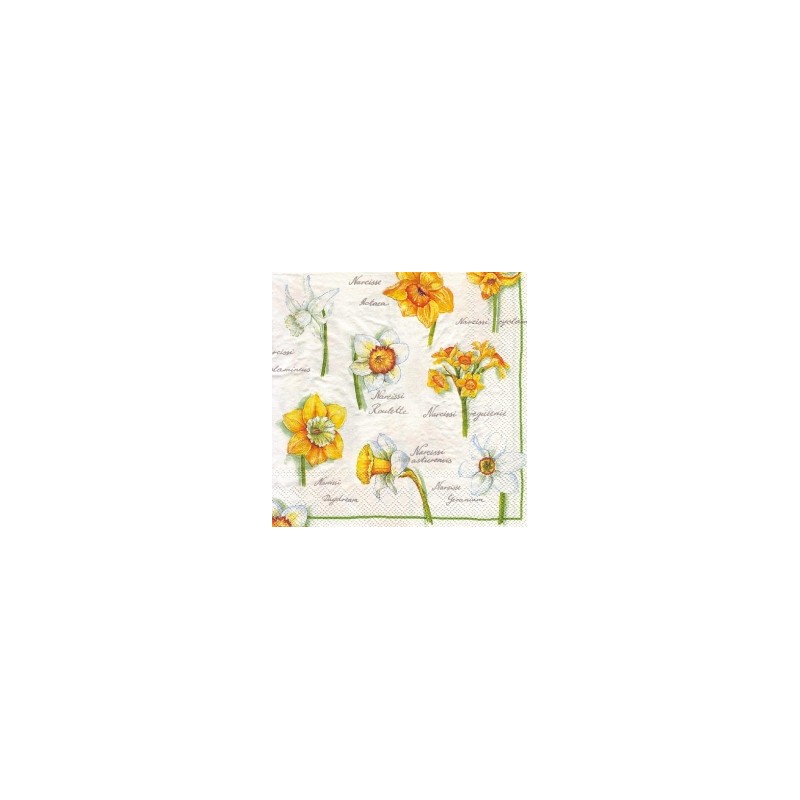 Servetėlė Nr.012 "Daffodil Blossoms White" 33x33cm