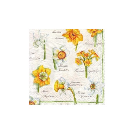 Servetėlė Nr.012 "Daffodil Blossoms White" 33x33cm