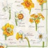 Servetėlė Nr.012 "Daffodil Blossoms White" 33x33cm