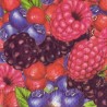 Servetėlė Nr.080 "Forest Berries" 33x33cm