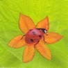 Servetėlė Nr.143 "Ladybird in green" 33x33cm