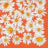 Servetėlė Nr.202 "Daisies in orange" 33x33cm