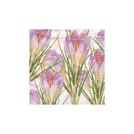 Servetėlė Nr.208 "Crocus" 33x33cm