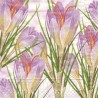 Servetėlė Nr.208 "Crocus" 33x33cm